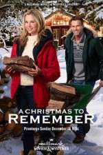 Watch A Christmas to Remember 123moviesfree