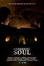 Watch Wandering Soul 123MovieFree