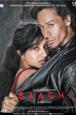 Watch Baaghi 123MovieFree