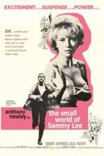 Watch The Small World of Sammy Lee 123moviesfree