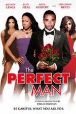 Watch The Perfect Man 123MovieFree