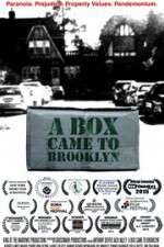 Watch A Box Came to Brooklyn 123MovieFree