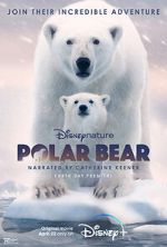 Watch Polar Bear 123moviesfree