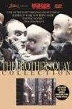 Watch The Comb 123MovieFree