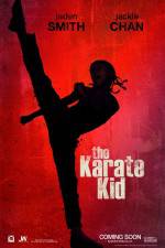 Watch The Karate Kid 123MovieFree