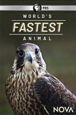 Watch World\'s Fastest Animal 123moviesfree