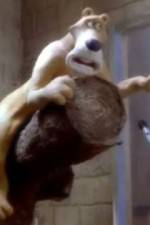 Watch Creature Comforts 123MovieFree