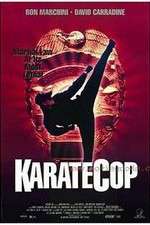 Watch Karate Cop 123MovieFree