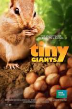 Watch Tiny Giants 3D 123MovieFree