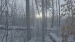 Watch Once There Was a Winter 123MovieFree