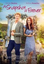 Watch A Snapshot of Forever 123MovieFree