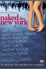 Watch Naked in New York 123MovieFree