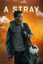 Watch A Stray 123MovieFree