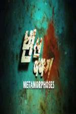 Watch Metamorphoses 123MovieFree