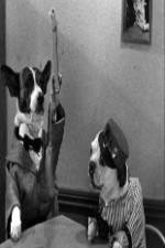 Watch The Two Barks Brothers 123MovieFree