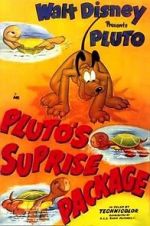 Watch Pluto\'s Surprise Package 123MovieFree