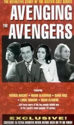 Watch Avenging the Avengers 123MovieFree