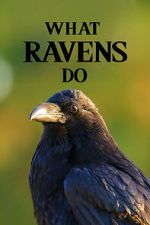 Watch What Ravens Do 123moviesfree