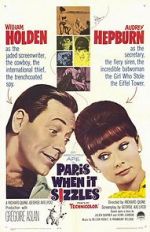 Watch Paris When It Sizzles 123moviesfree