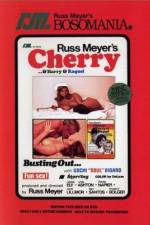Watch Cherry Harry & Raquel 123MovieFree