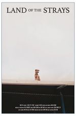 Watch Land of the Strays (Short 2018) 123MovieFree