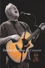 Watch David Gilmour in Concert - Live at Robert Wyatt's Meltdown 123MovieFree