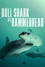 Watch Bull Shark vs Hammerhead 123moviesfree