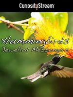 Watch Hummingbirds Jewelled Messengers 123moviesfree