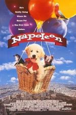 Watch Napoleon 123MoviesFree