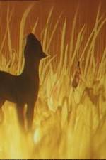 Watch The Cat Who Walked by Herself 123MovieFree