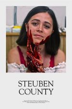 Watch Steuben County 123MovieFree