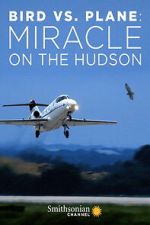 Watch Bird vs. Plane: Miracle on the Hudson 123moviesfree