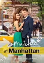 Watch A Match in Manhattan 123MovieFree