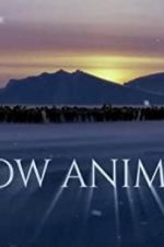 Watch Snow Animals 123moviesfree