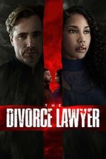 Watch The Divorce Lawyer 123moviesfree