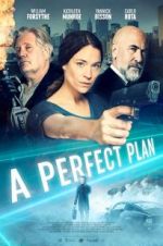 Watch A Perfect Plan 123MovieFree
