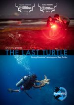 Watch The Last Turtle (Short 2019) 123MovieFree