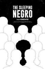 Watch The Sleeping Negro 123moviesfree
