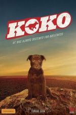 Watch Koko: A Red Dog Story 123MovieFree