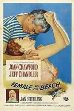 Watch Female on the Beach 123MovieFree