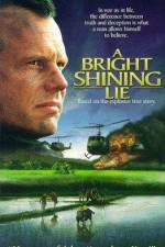 Watch A Bright Shining Lie 123MovieFree