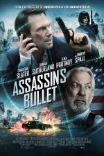 Watch Assassin's Bullet 123MovieFree
