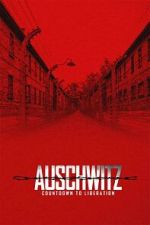 Watch Auschwitz: Countdown to Liberation 123moviesfree