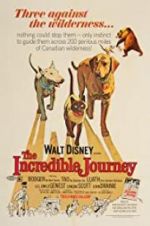 Watch The Incredible Journey 123MoviesFree