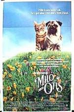 Watch Milo & Otis 123MoviesFree