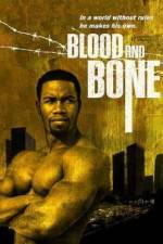 Watch Blood and Bone 123MovieFree