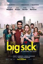 Watch The Big Sick 123MovieFree