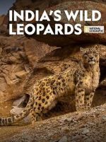 Watch India\'s Wild Leopards (Short 2020) 123MovieFree