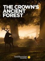 Watch The Crown\'s Ancient Forest 123moviesfree
