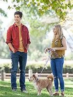 Watch Hometown Hero 123MovieFree